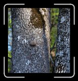 IMG_2128 * ? * 2223 x 2302 * (1.06MB)