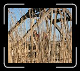 IMG_2150 * 2562 x 2224 * (918KB)