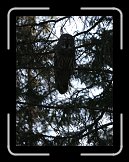 ag_IMG_0510 * 1996 x 2648 * (823KB)