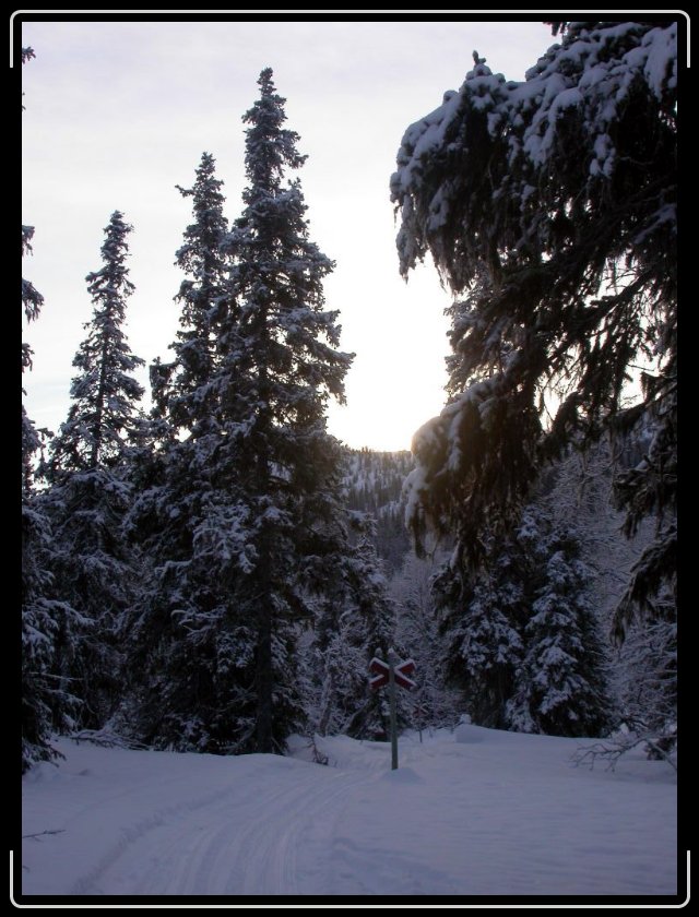 Du har n�tt sista bilden