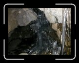 DSCN2564 * 1024 x 768 * (217KB)