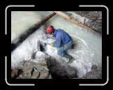 DSCN2654 * 1024 x 768 * (234KB)