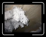 DSCN2683 * 1024 x 768 * (212KB)