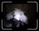 DSCN2685 * 1024 x 768 * (161KB)