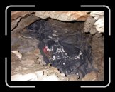 DSCN2749 * 1024 x 768 * (227KB)