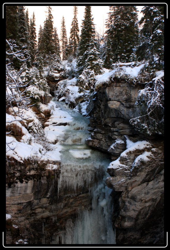 Du har n�tt sista bilden