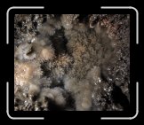 bd3_IMG_7148 * 2876 x 2432 * (955KB)