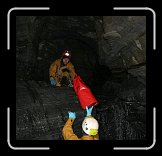 IMG_0493 * 2412 x 2319 * (607KB)