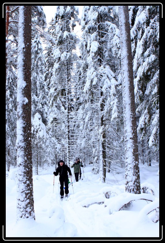 Du har n�tt sista bilden