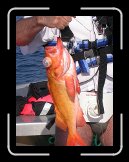 DSCN5823 * 1704 x 2272 * (1020KB)