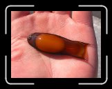 DSCN5841 * 2272 x 1704 * (1.32MB)