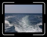 DSCN5844 * 2272 x 1704 * (1.27MB)