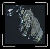 IMG_1278_masskar * Måsskär - vilken häffa ö! * 1037 x 1024 * (173KB)