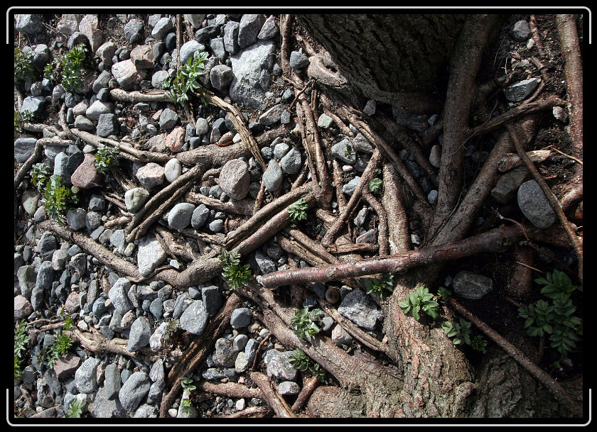 Du har nått sista bilden