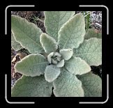 ct_IMG_0411 * 2130 x 2031 * (641KB)