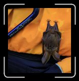 IMG_2400 * 2516 x 2588 * (641KB)