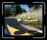 P5241352 * 2469 x 2007 * (1.15MB)