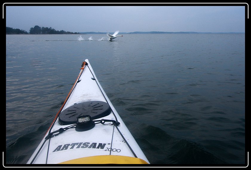 Du har nått sista bilden