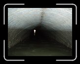 P3131236 * 3072 x 2304 * (3.26MB)