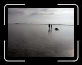 DSCN8701 * 2272 x 1704 * (345KB)