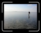 DSCN8702 * 2272 x 1704 * (397KB)