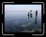 DSCN8793 * 2272 x 1704 * (453KB)