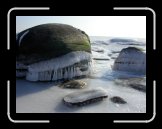 DSCN8804 * 2272 x 1704 * (521KB)