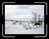 DSCN3068 * 2272 x 1704 * (601KB)