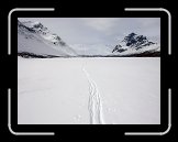 DSCN3253 * 2272 x 1704 * (441KB)