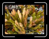 DSCN3365 * 2272 x 1704 * (741KB)