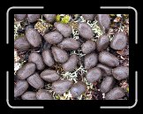 DSCN3366 * 2272 x 1704 * (840KB)