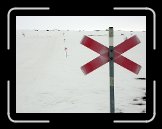 DSCN3368 * 2272 x 1704 * (420KB)