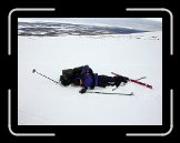 DSCN3387 * 2272 x 1704 * (421KB)