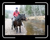 bc_IMG_2195 * 3144 x 2376 * (2.22MB)